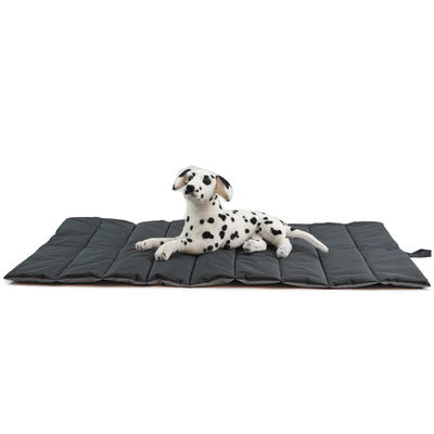 Double Sided 68cm Waterproof Pet Mat 420D Oxford Foldable