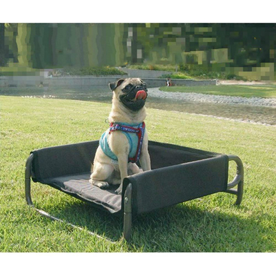 80kg Indoor Elevated Dog Bed 22in Folding Raised Dog Bed