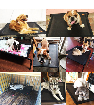 7in Waterproof Elevated Dog Cot Bed 600D Folding Travel Dog Bed