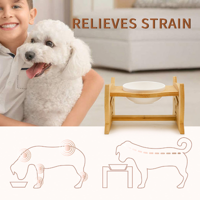 BPA Free 0.85kg Pet Food Feeders 24cm Adjustable Height Dog Food Bowls