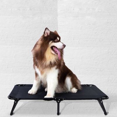 7in 35in Indoor Elevated Dog Bed Breathable Metal Frame Dog Bed