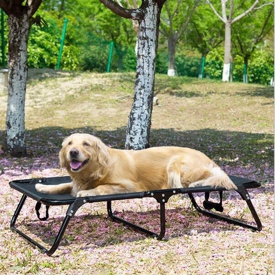 Breathable Folding Elevated Dog Bed 22cm 120cm XL Raised