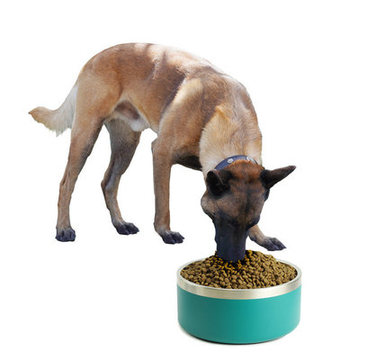 SGS 1.6L Double Wall Stainless Steel Dog Bowl Non Toxic