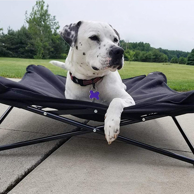 SGS Folding Dog Cot Bed