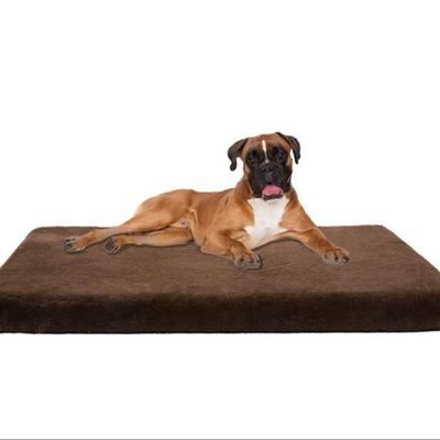 8in Silentnight Orthopedic Dog Bed