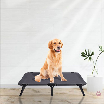 6in Black Folding Elevated Dog Bed BSCI Steel Frame Pet Bed