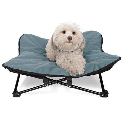 Medium or Large Metal Frame Off Ground Dog Cat Cot