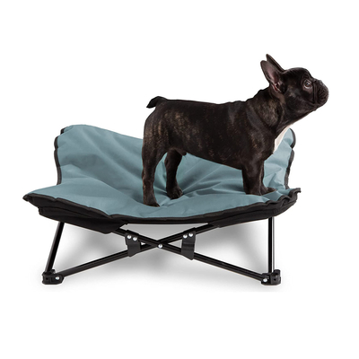 Medium or Large Metal Frame Off Ground Dog Cat Cot